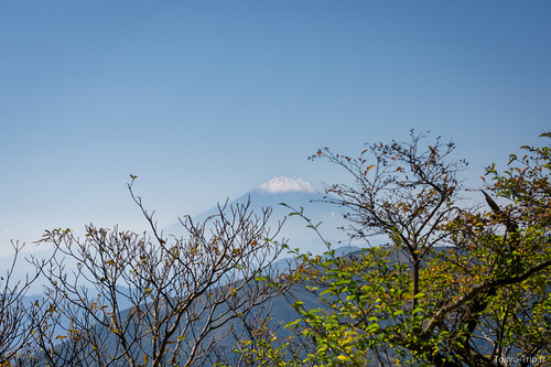 Oyama-18