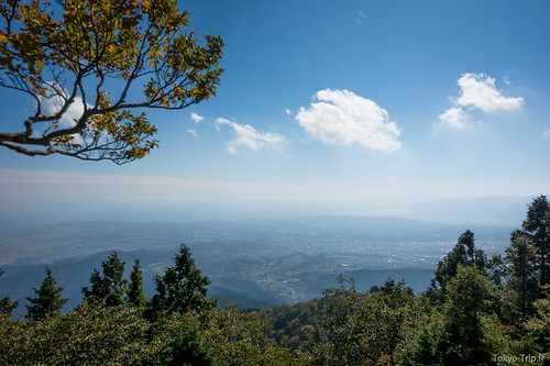 Oyama-16