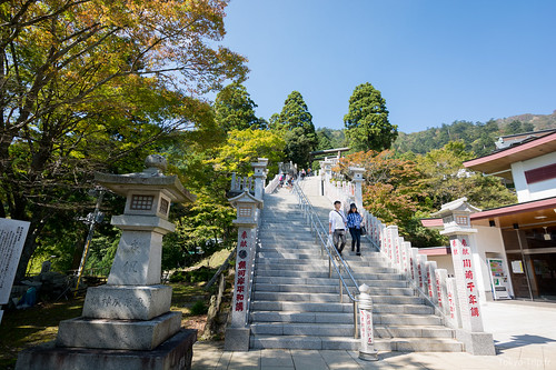 Oyama-6
