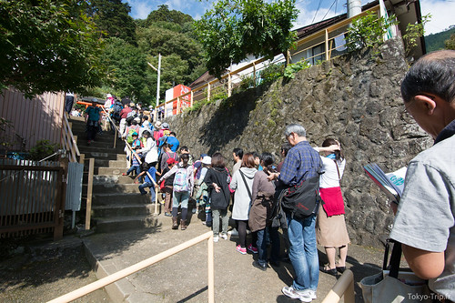 Oyama-4